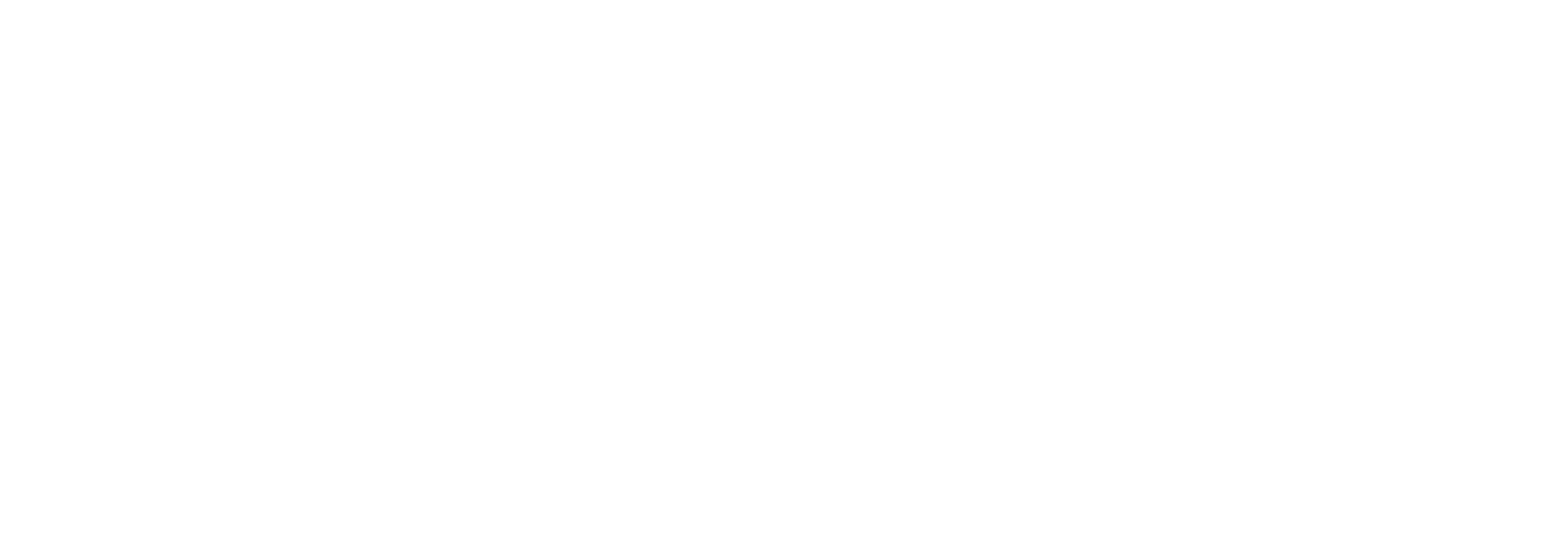 VisorVault Logo